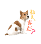 毎日ピース3（個別スタンプ：2）
