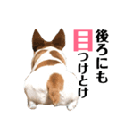 毎日ピース3（個別スタンプ：7）