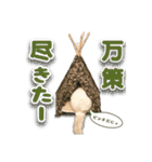 猫のしらたまの日常（個別スタンプ：28）