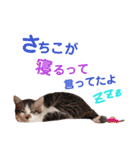 猫好きな『さちこ』専用スタンプ（個別スタンプ：2）