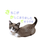 猫好きな『さちこ』専用スタンプ（個別スタンプ：10）