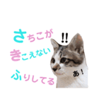 猫好きな『さちこ』専用スタンプ（個別スタンプ：21）