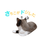猫好きな『さちこ』専用スタンプ（個別スタンプ：23）