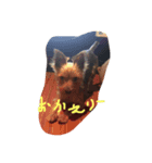 テリーちゃんちゃん（個別スタンプ：2）