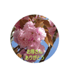 ハッピー＆サンキュー（個別スタンプ：4）
