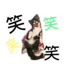 仙一さん（個別スタンプ：2）