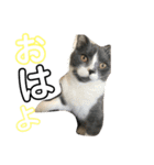仙一さん（個別スタンプ：5）