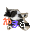 仙一さん（個別スタンプ：10）