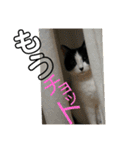 みーやんさん（個別スタンプ：1）