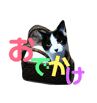 みーやんさん（個別スタンプ：2）
