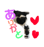 みーやんさん（個別スタンプ：11）