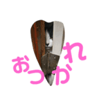 みーやんさん（個別スタンプ：17）