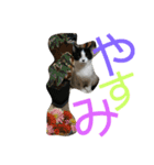 みーやんさん（個別スタンプ：18）