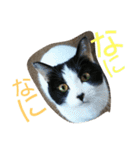 みーやんさん（個別スタンプ：21）