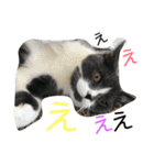 みーやんさん（個別スタンプ：23）