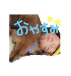 ここみゆスタンプ（個別スタンプ：3）