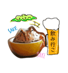 かぼすとはっさくと、たまに亀。（個別スタンプ：2）