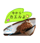 かぼすとはっさくと、たまに亀。（個別スタンプ：7）