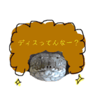 かぼすとはっさくと、たまに亀。（個別スタンプ：9）