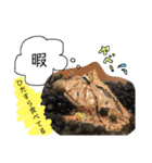 かぼすとはっさくと、たまに亀。（個別スタンプ：12）