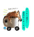 かぼすとはっさくと、たまに亀。（個別スタンプ：15）