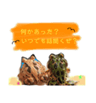 かぼすとはっさくと、たまに亀。（個別スタンプ：17）