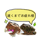 かぼすとはっさくと、たまに亀。（個別スタンプ：18）