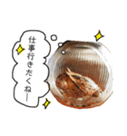 かぼすとはっさくと、たまに亀。（個別スタンプ：19）