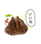 かぼすとはっさくと、たまに亀。（個別スタンプ：23）