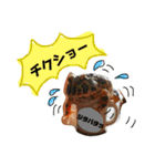 かぼすとはっさくと、たまに亀。（個別スタンプ：24）
