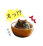 かぼすとはっさくと、たまに亀。（個別スタンプ：26）