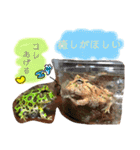 かぼすとはっさくと、たまに亀。（個別スタンプ：29）