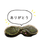 かぼすとはっさくと、たまに亀。（個別スタンプ：31）