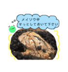 かぼすとはっさくと、たまに亀。（個別スタンプ：39）