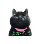 黒猫にゃんちゃん日常スタンプ（個別スタンプ：16）