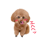 モッチミッチ（個別スタンプ：6）