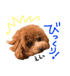 モッチミッチ（個別スタンプ：13）