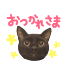 ムギーズとひめ（個別スタンプ：2）