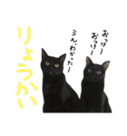 ムギーズとひめ（個別スタンプ：3）