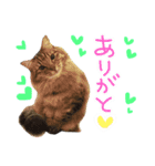 ムギーズとひめ（個別スタンプ：4）