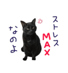 ムギーズとひめ（個別スタンプ：5）
