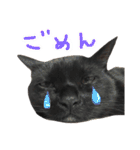 ムギーズとひめ（個別スタンプ：7）