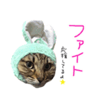 ムギーズとひめ（個別スタンプ：9）