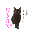 ムギーズとひめ（個別スタンプ：11）