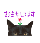 ムギーズとひめ（個別スタンプ：13）