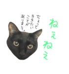 ムギーズとひめ（個別スタンプ：14）
