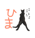 ムギーズとひめ（個別スタンプ：18）