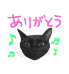 ムギーズとひめ（個別スタンプ：20）
