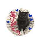 ムギーズとひめ（個別スタンプ：21）