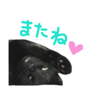 ムギーズとひめ（個別スタンプ：24）